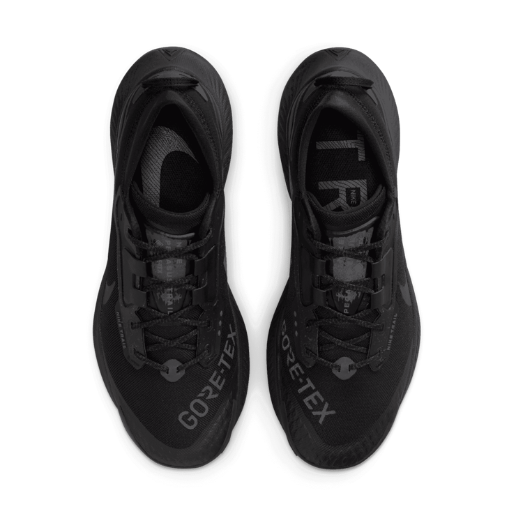 Nike Pegasus Trail 3 Gore-Tex Black Dark Smoke Grey Angle 1