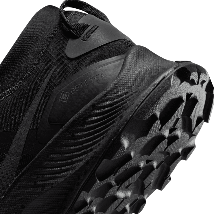 Nike Pegasus Trail 3 Gore-Tex Black Dark Smoke Grey Angle 5