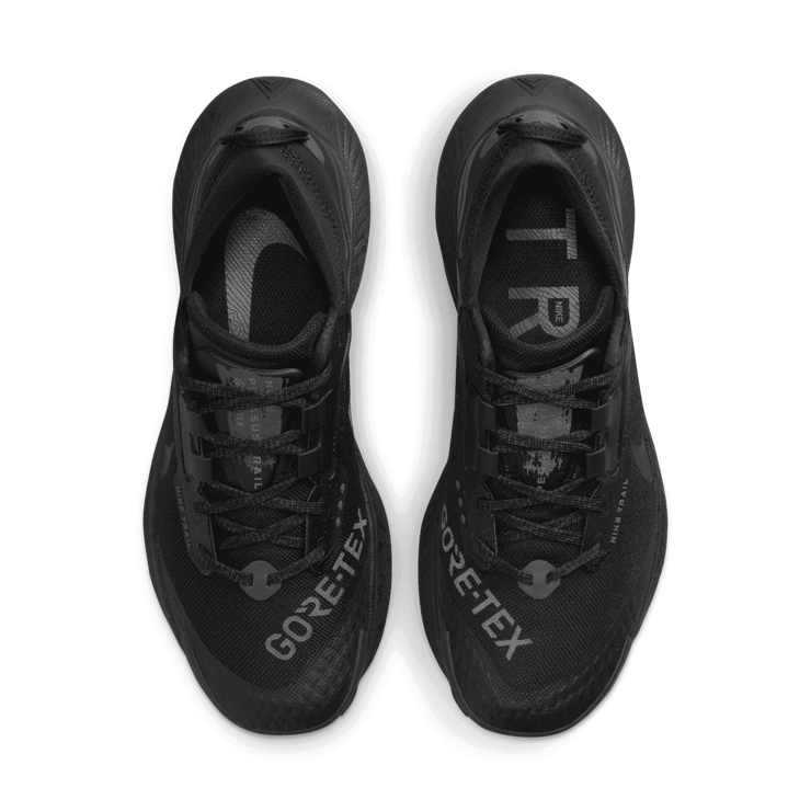 Nike Pegasus Trail 3 Gore-Tex Black Dark Smoke Grey (W) Angle 1