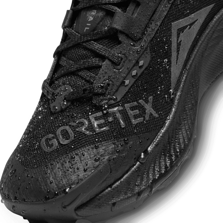 Nike Pegasus Trail 3 Gore-Tex Black Dark Smoke Grey (W) Angle 10