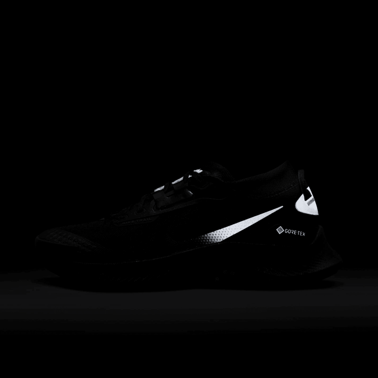 Nike Pegasus Trail 3 Gore-Tex Black Dark Smoke Grey (W) Angle 8