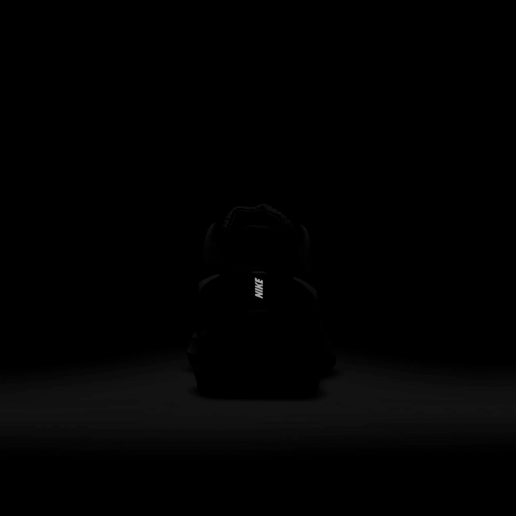 Nike Air Zoom Pegasus 39 Black White (W) Angle 6