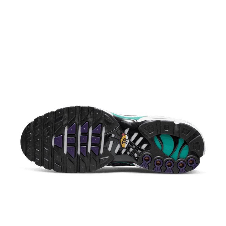 Nike Air Max Plus White Grape Ice Angle 0