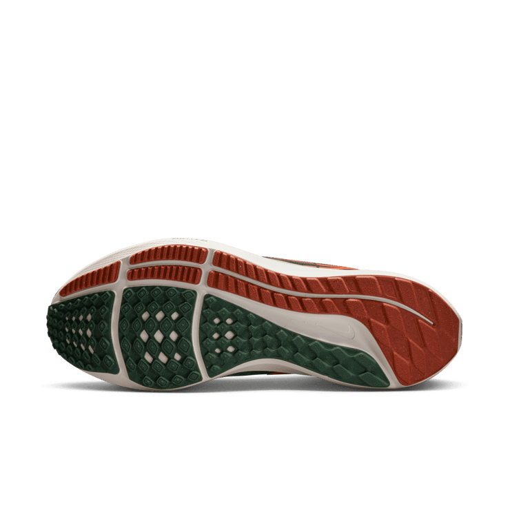 Nike Air Zoom Pegasus 39 A.I.R. Hola Lou Angle 0
