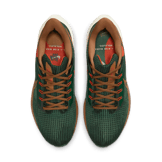 Nike Air Zoom Pegasus 39 A.I.R. Hola Lou Angle 1