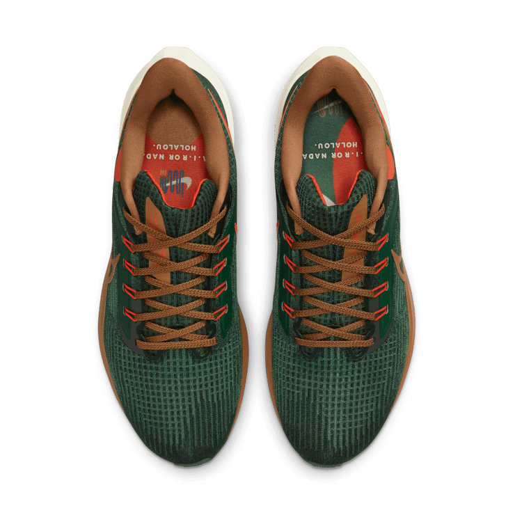 Nike Air Zoom Pegasus 39 A.I.R. Hola Lou Angle 1