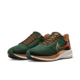 Nike Air Zoom Pegasus 39 A.I.R. Hola Lou Angle 2