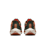 Nike Air Zoom Pegasus 39 A.I.R. Hola Lou Angle 3