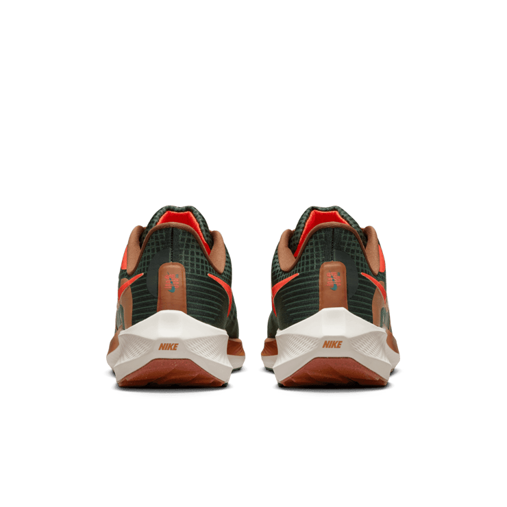 Nike Air Zoom Pegasus 39 A.I.R. Hola Lou Angle 3
