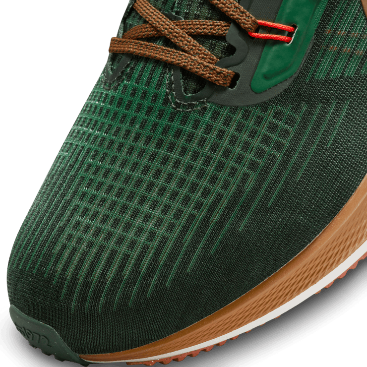 Nike Air Zoom Pegasus 39 A.I.R. Hola Lou Angle 4