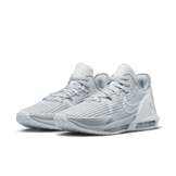 Nike LeBron Witness 6 TB Wolf Grey Angle 2