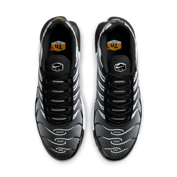 Nike Air Max Plus Black Silver White Angle 2