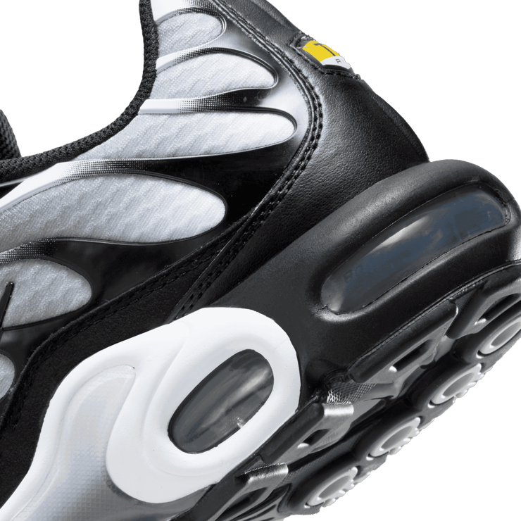 Nike Air Max Plus Black Silver White Angle 6
