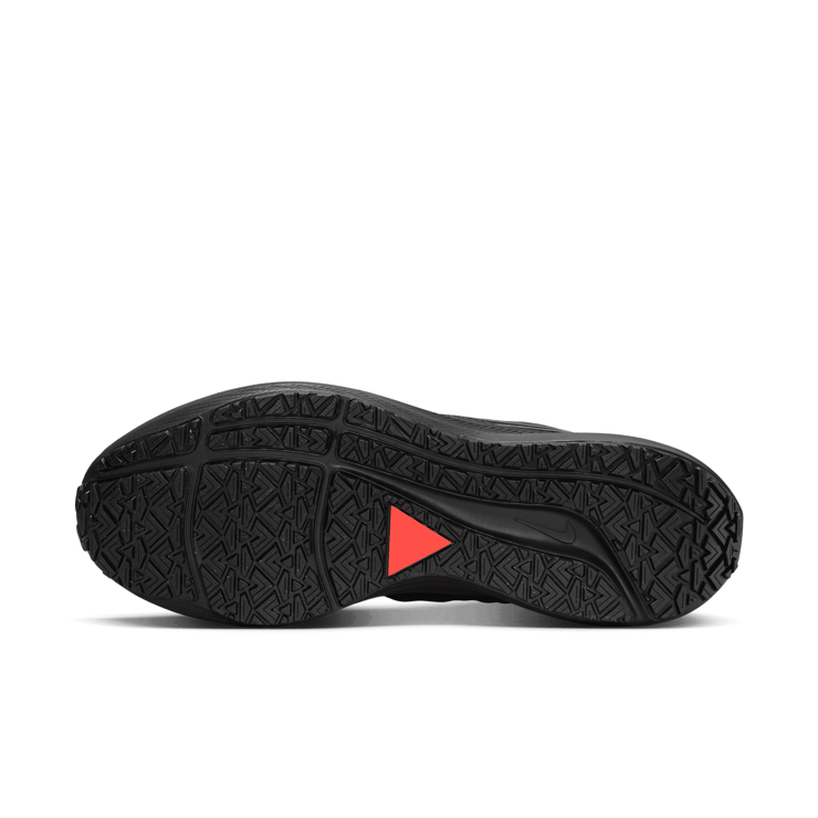 Nike Air Zoom Pegasus 39 Shield Black Angle 0