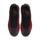 Nike Air Max Plus Bred Reflective Angle 1