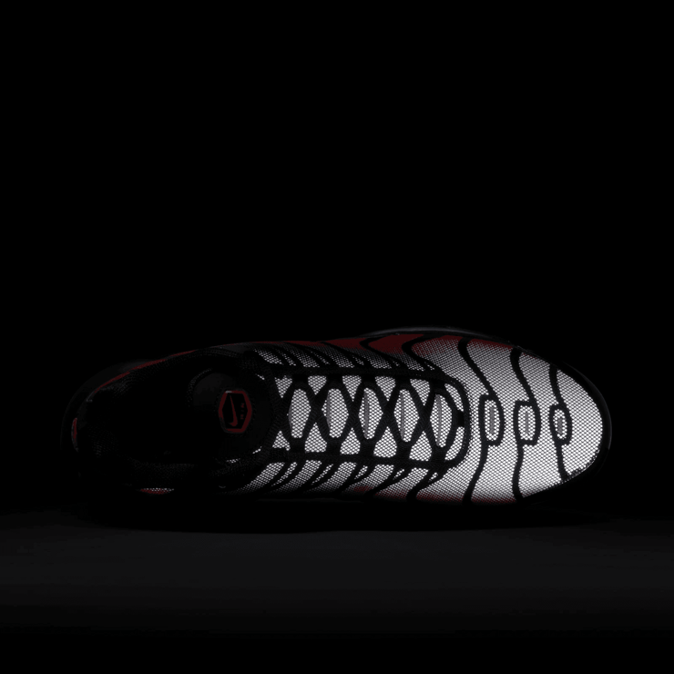 Nike Air Max Plus Bred Reflective Angle 6