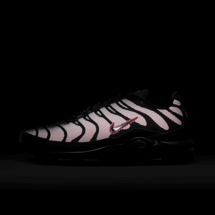 Nike Air Max Plus Bred Reflective Angle 8