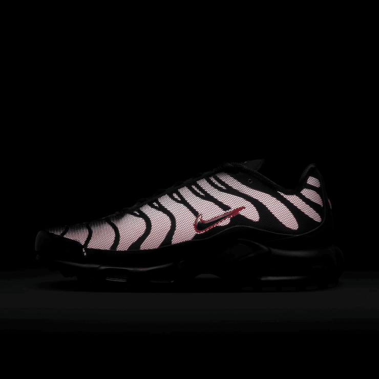 Nike Air Max Plus Bred Reflective Angle 9