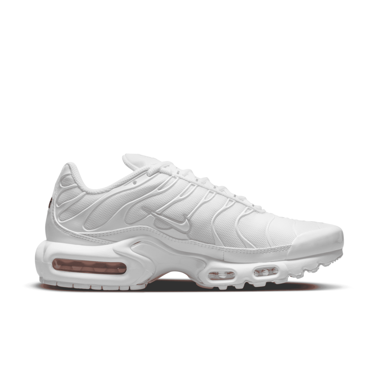 Nike Air Max Plus Shoes Angle 0