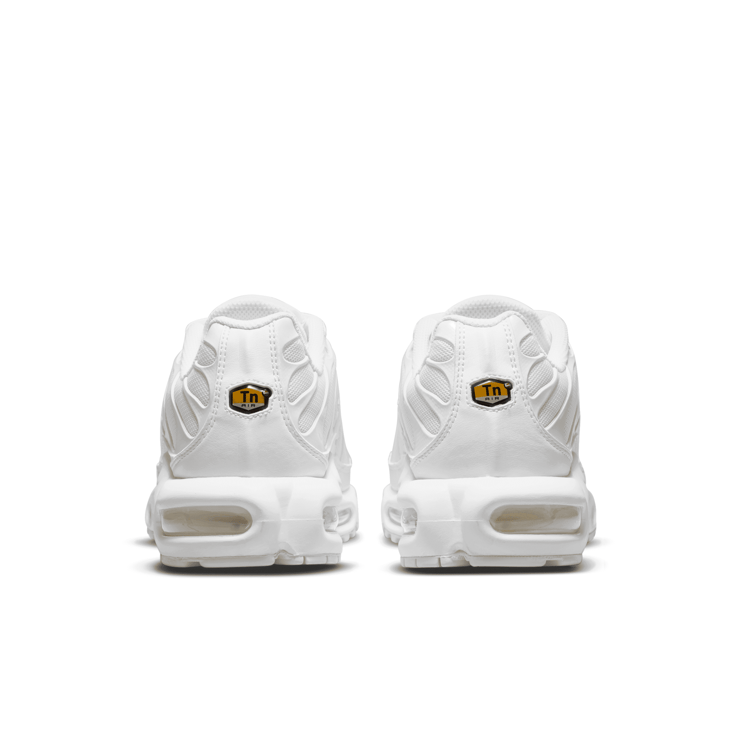 Nike Air Max Plus Shoes Angle 2