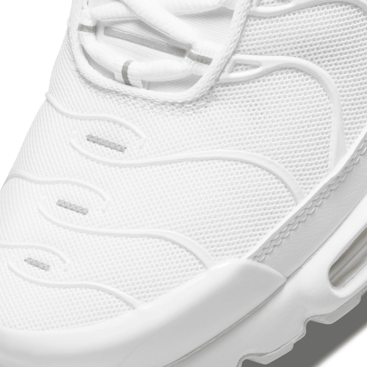 Nike Air Max Plus Shoes Angle 3