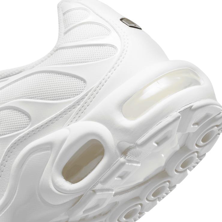 Nike Air Max Plus Shoes Angle 4