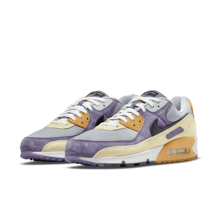 Nike Air Max 90 Shoes Angle 2