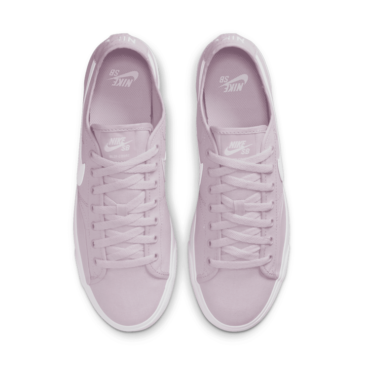 Nike SB BLZR Court Skate Shoes Angle 1