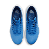 Nike Air Zoom Pegasus 39 (NFL Tennessee Titans) Road Running Shoes Angle 1