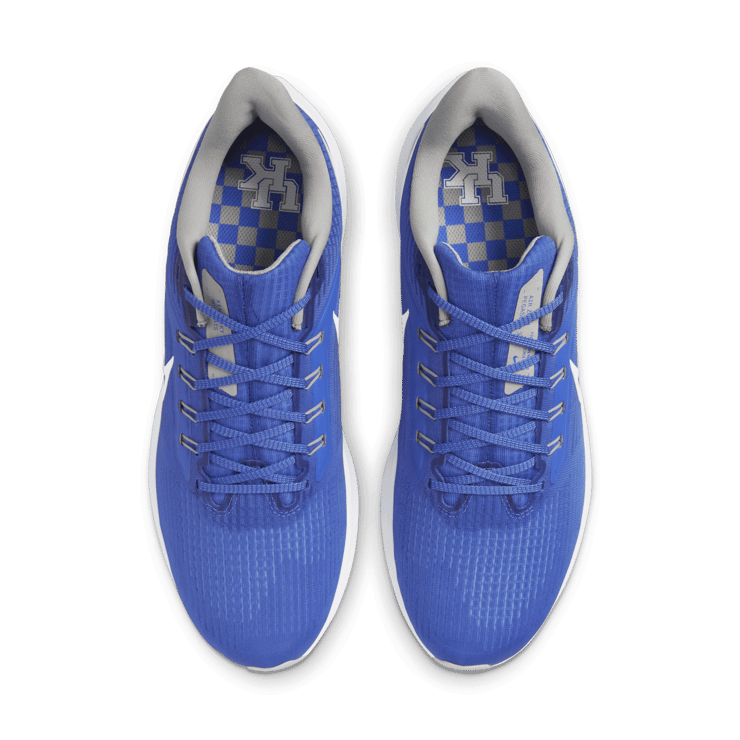 Nike Air Zoom Pegasus 39 (Kentucky) Road Running Shoes Angle 1