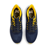 Nike Air Zoom Pegasus 39 (Michigan) Road Running Shoes Angle 1