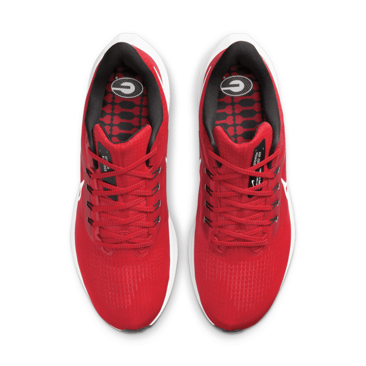 Nike Air Zoom Pegasus 39 (Georgia) Road Running Shoes Angle 1