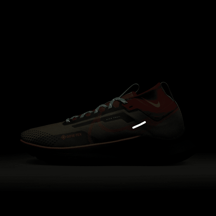 Nike Pegasus Trail 4 GORE-TEX Waterproof Trail Running Shoes Angle 5
