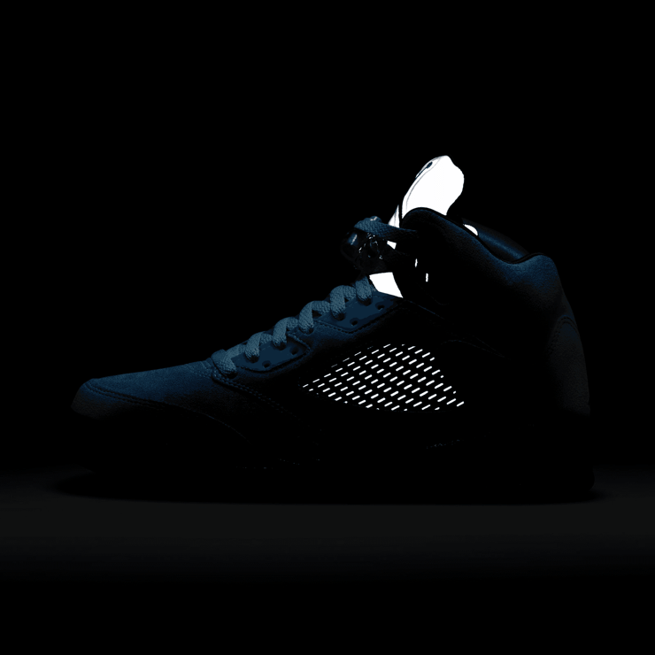 Jordan 5 Retro Bluebird (W) Angle 7