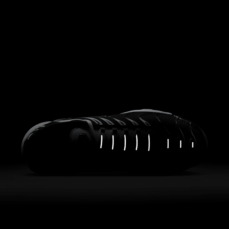 Nike Air Max Plus Shoes Angle 6