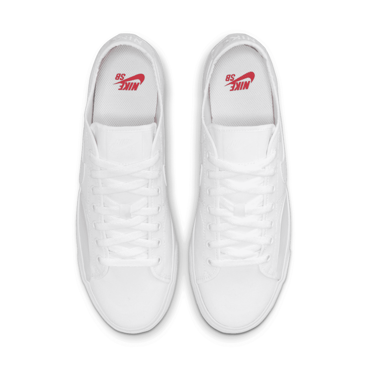 Nike SB BLZR Court Skate Shoes Angle 2