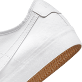 Nike SB BLZR Court Skate Shoes Angle 6