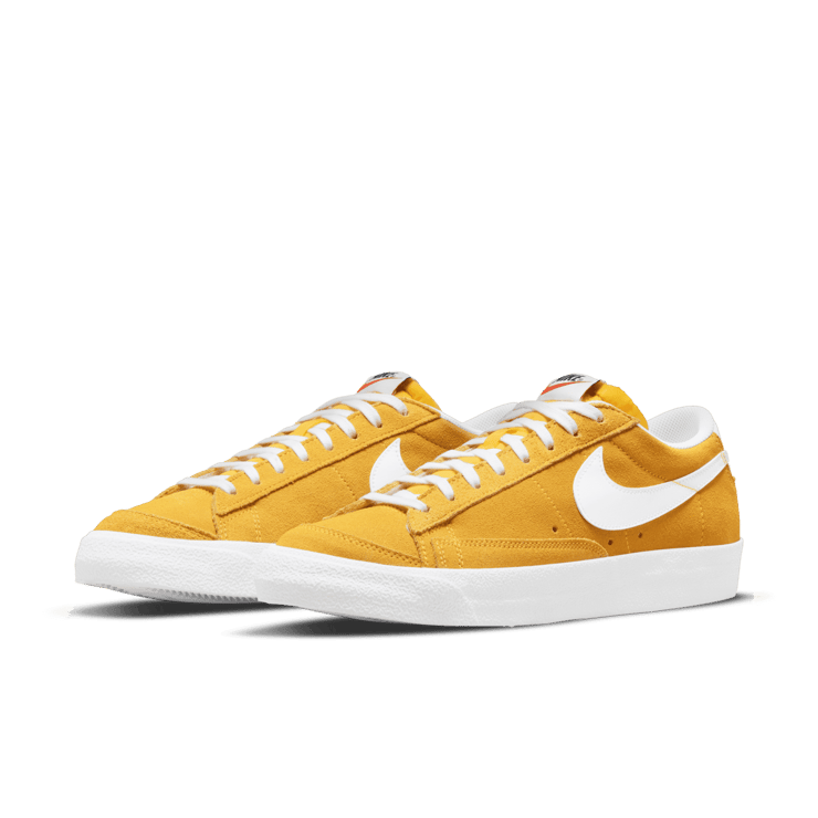 Nike Blazer Low '77 Shoes Angle 2