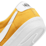 Nike Blazer Low '77 Shoes Angle 5