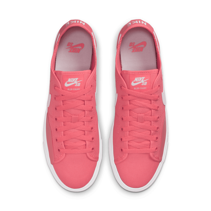 Nike SB BLZR Court Skate Shoes Angle 1