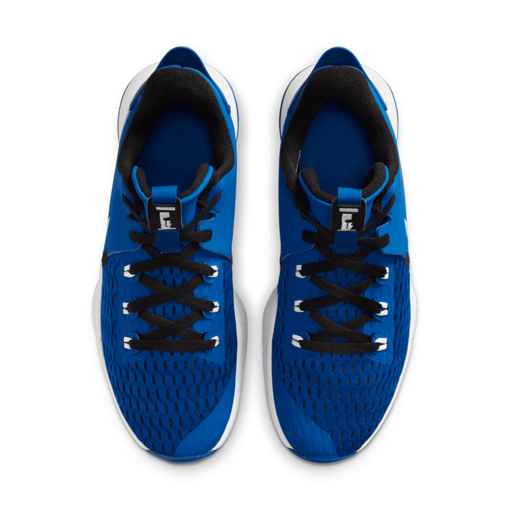 Nike LeBron Witness 5 Basketball Shoes Angle 1