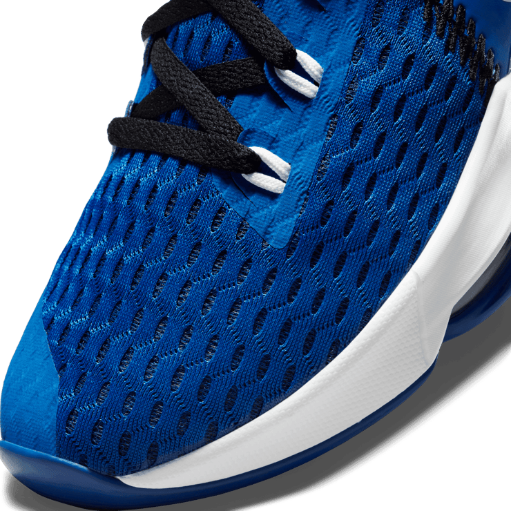 Nike LeBron Witness 5 Basketball Shoes Angle 4