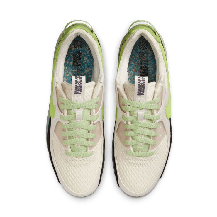 Nike Air Max Terrascape 90 Shoes Angle 1