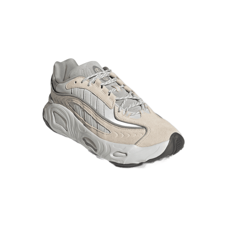 adidas OZNOVA Shoes Aluminium Angle 2