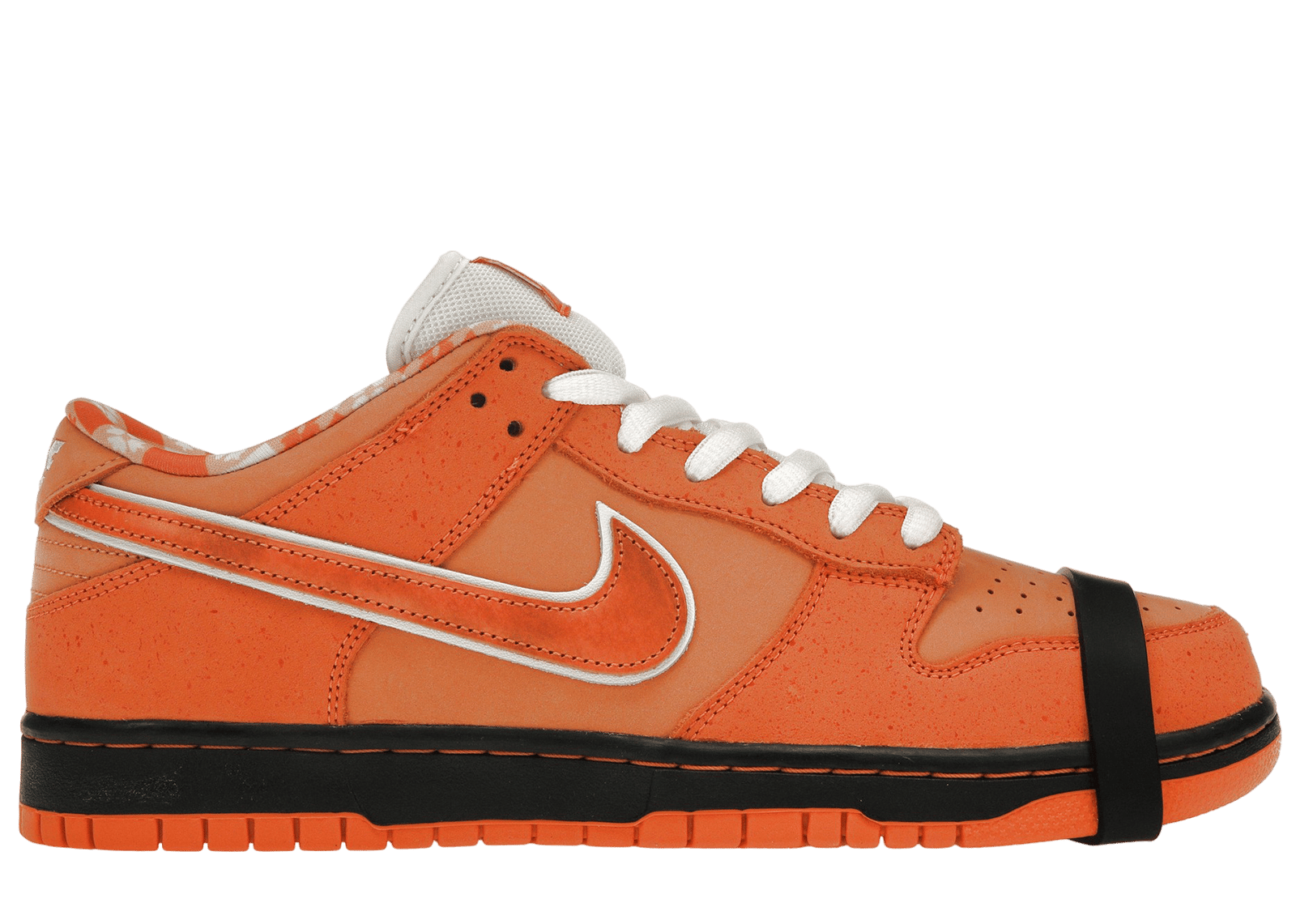 Nike sb dunk low concepts best sale