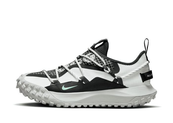 Nike ACG Mountain Fly Low SE Shoes