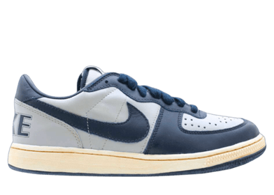 Nike Terminator Low Georgetown