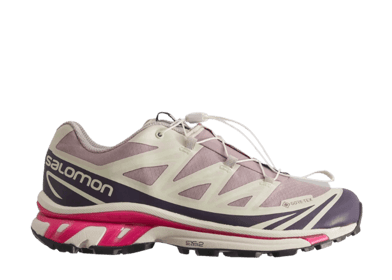 Salomon GORE-TEX XT-6 Kith Quail