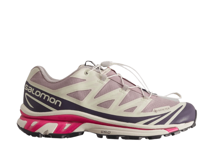 Salomon GORE-TEX XT-6 Kith Quail