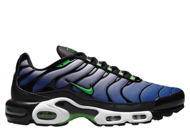 Nike Air Max Plus Icons